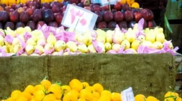 أسعار الخضار والفاكهة في المنوفية.. الطماطم تصل إلى 9 جنيهات السبت